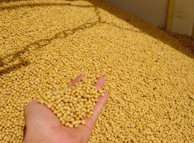 PIB do Agronegócio na Bahia totaliza mais de R$ 22 bilhões no primeiro trimestre
