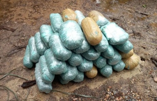 Polícia Civil incinera quase 50kg de drogas apreendidas em Canudos