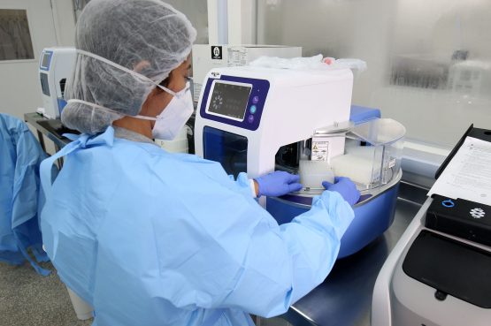 Estado registra 1.066 casos e 7 óbitos por covid-19 nas últimas 24h