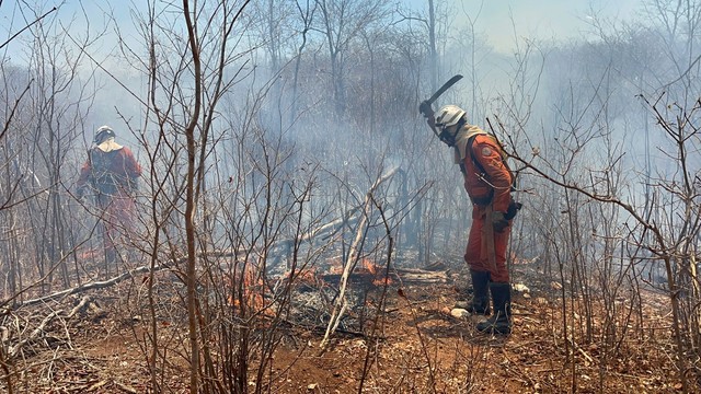 Incêndios florestais seguem em diversas regiões da Bahia; Mais de 200 bombeiros combatem fogo em todo estado