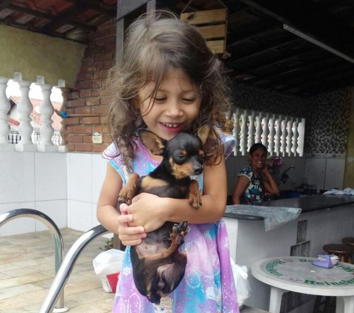 Mulher devolve cadela que furtou de família após vídeo da ação viralizar na net