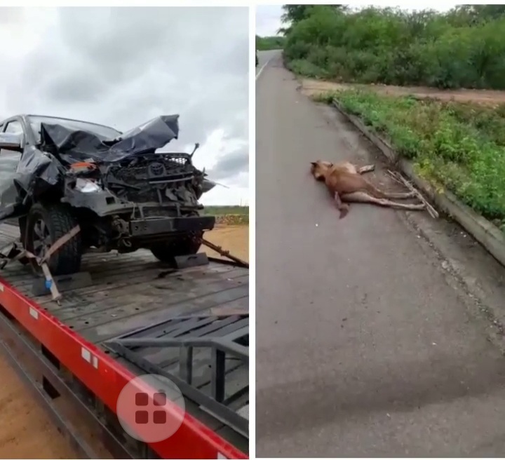 Acidente envolvendo carro e animal na BR 235 próximo a cidade de Canudos ba