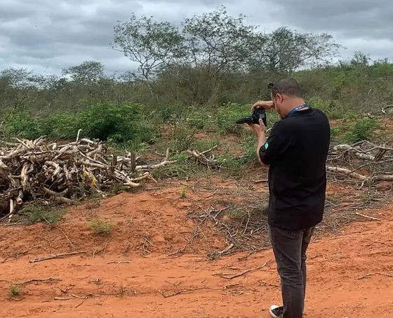 Caatinga está sendo dizimada na região de Santa Brígida-BA e Jeremoabo-BA, alerta FPI