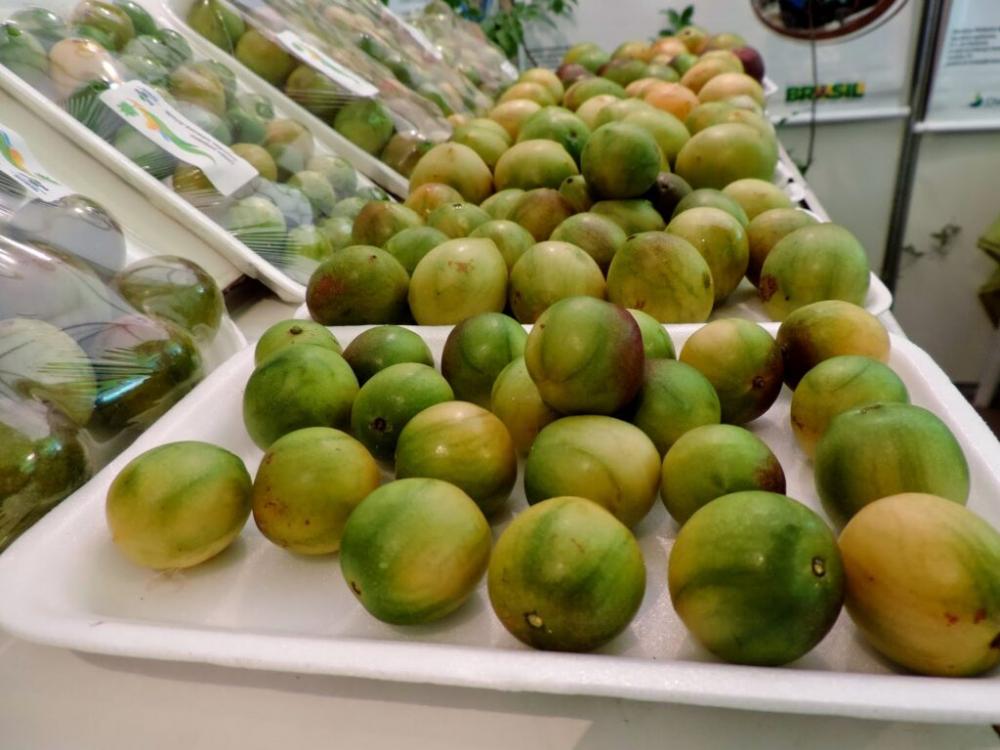 Umbu Da Caatinga, Passará A Ser Encontrado Em Grande Rede De Supermercados