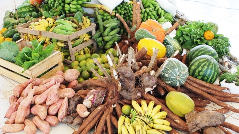 Prefeitura de Macururé realiza Chamada Pública para aquisição de Gêneros Alimentícios e Hortifrutigranjeiro da Agricultura Familiar