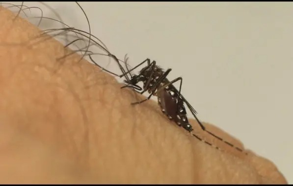 Reabertura da pandemia deu condições para aumento de dengue, explica especialista