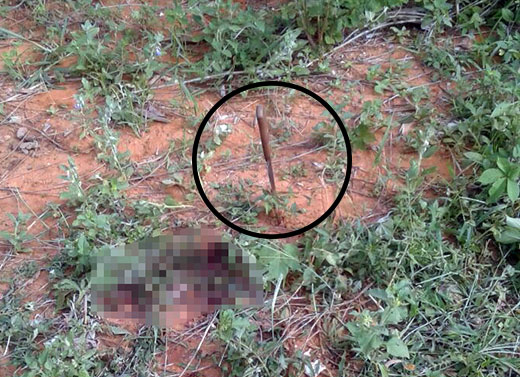 Idoso sofre golpes de faca no tórax e na cabeça na zona rural de Euclides da Cunha