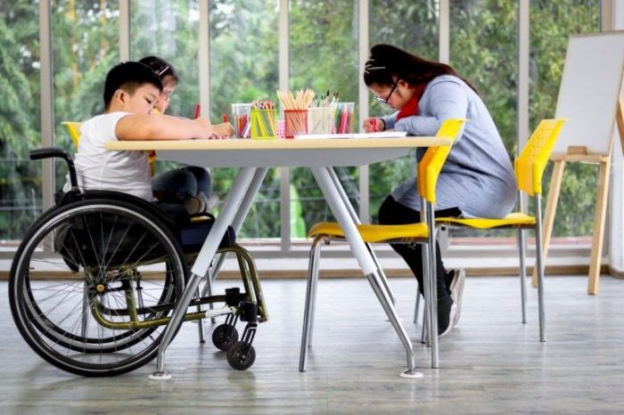 Comissão discute a educação de crianças com deficiência em escolas regulares